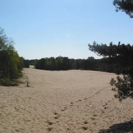 Nice Bungalow With Dishwasher Close To The Forest Ferienhaus *
